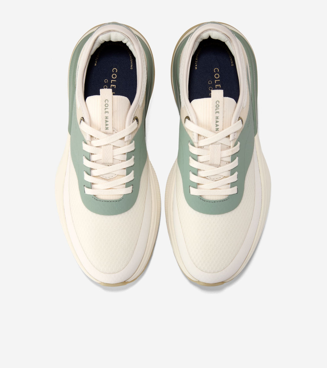 W36111:IVORY / LILY PAD / CH POWDER WP