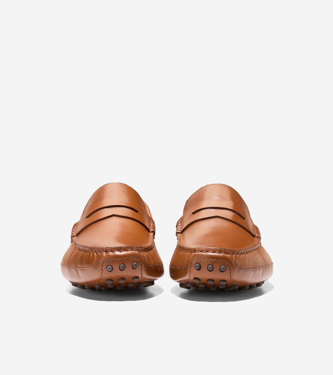 C41727:CH BRITISH TAN /CH JAVA