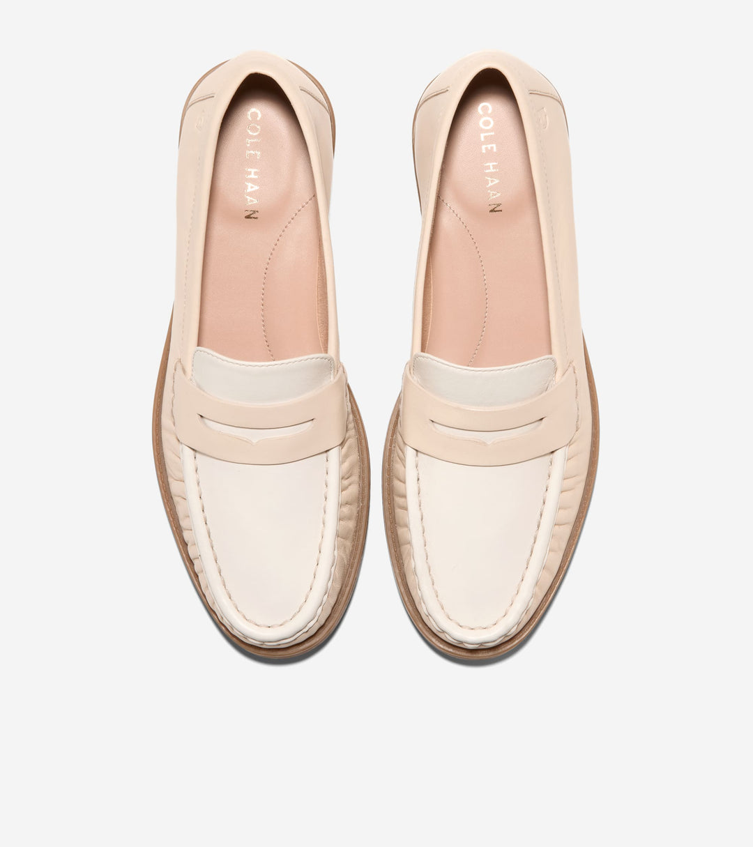 W35802:SAND DOLLAR / CH POWDER LTHR