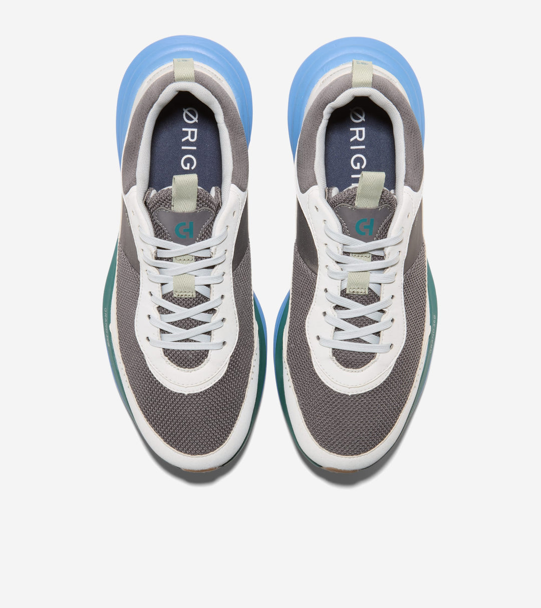 C42451:CASTLEROCK / OYSTER MUSHROOM / PACIFIC COAST