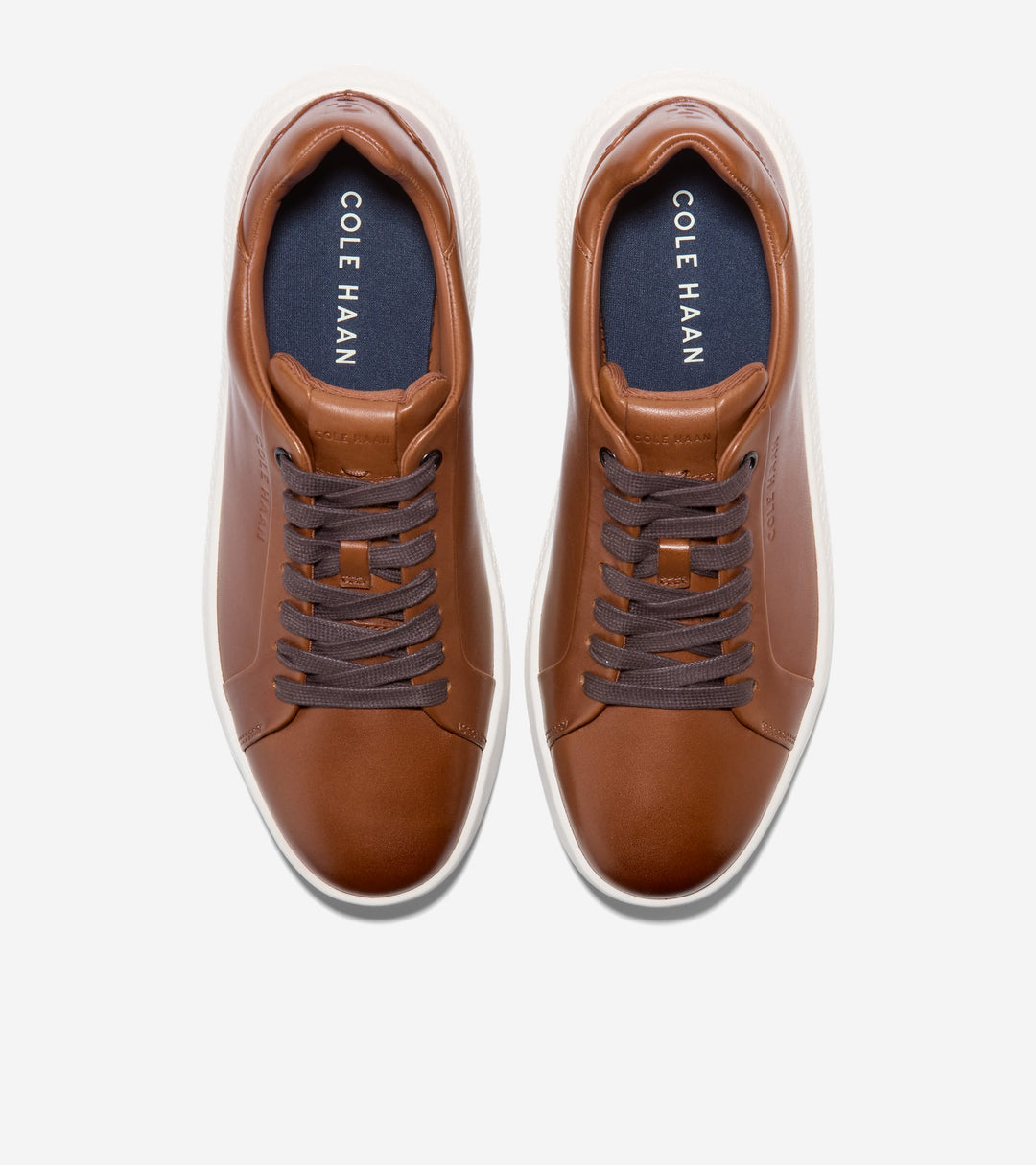 C42241:BRITISH TAN / DK CHOCOLATE / IVORY