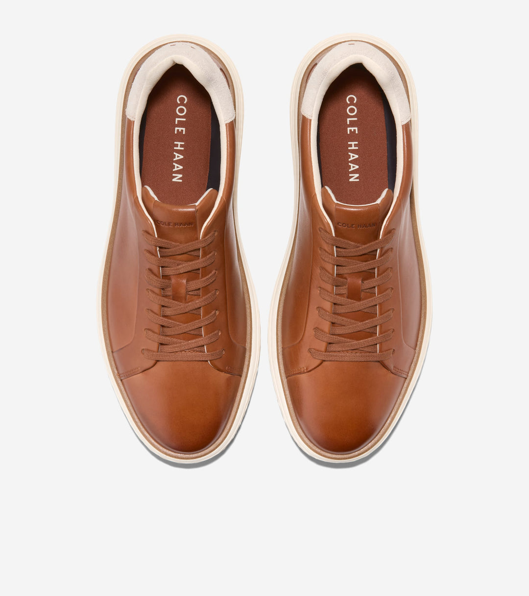 C42302:CH BRITISH TAN / CH DK CHOCOLATE / IVORY
