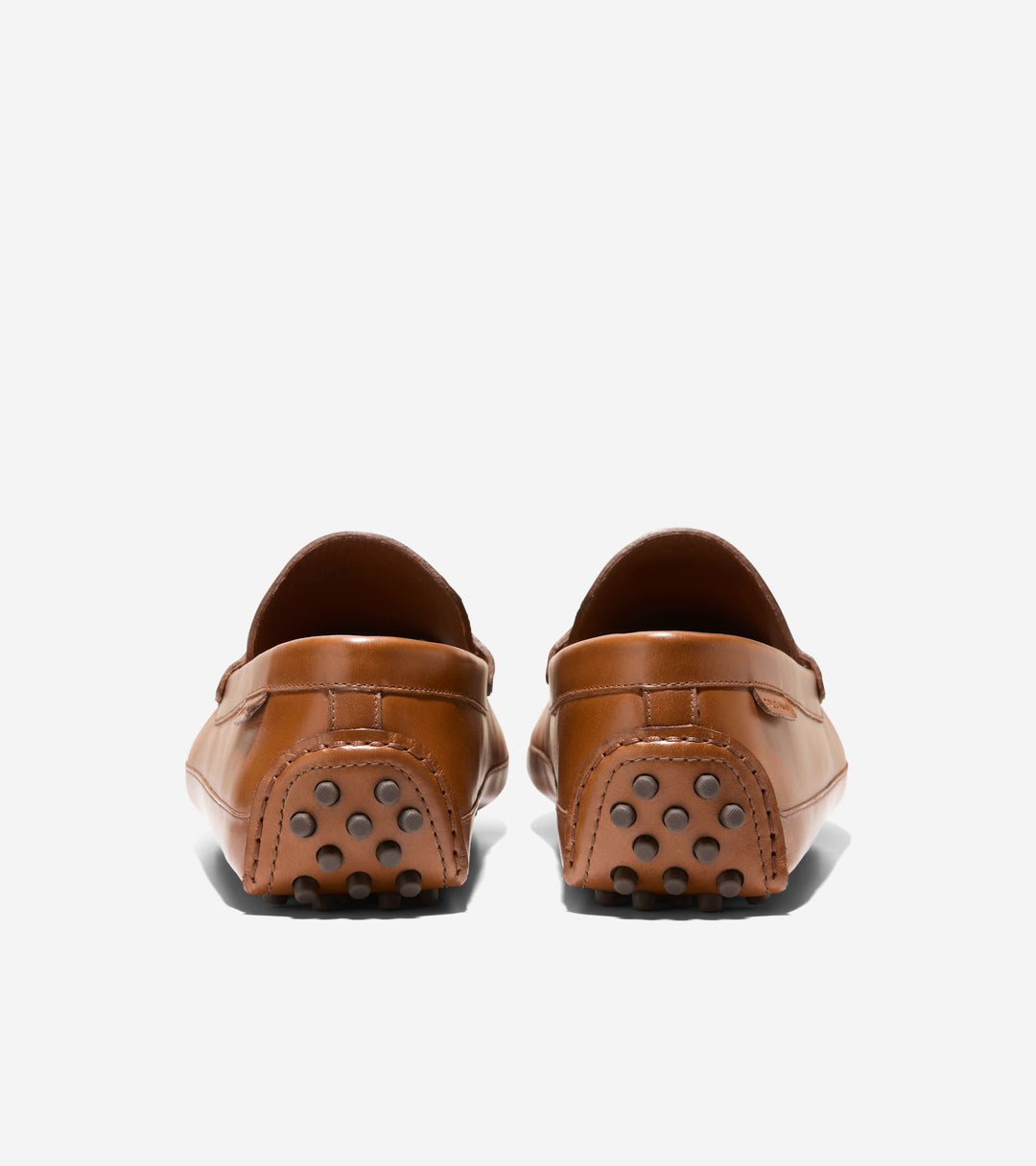 C41727:CH BRITISH TAN /CH JAVA