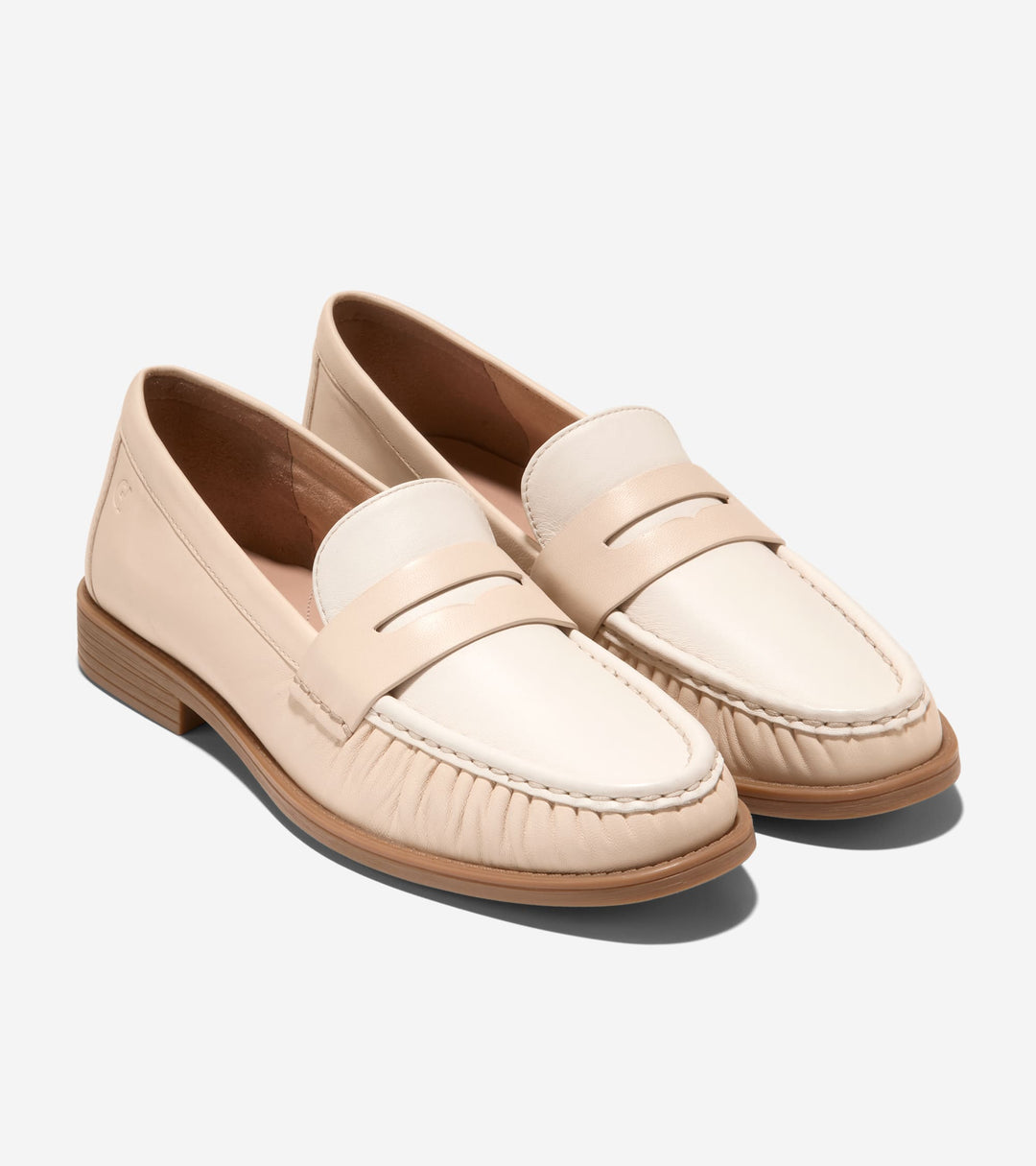 W35802:SAND DOLLAR / CH POWDER LTHR