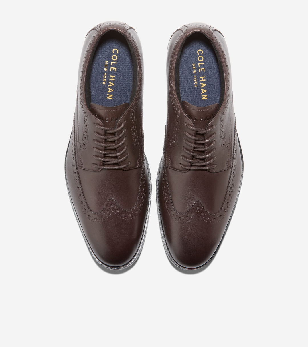 C41593:CH DK CHOCOLATE / BLACK WR