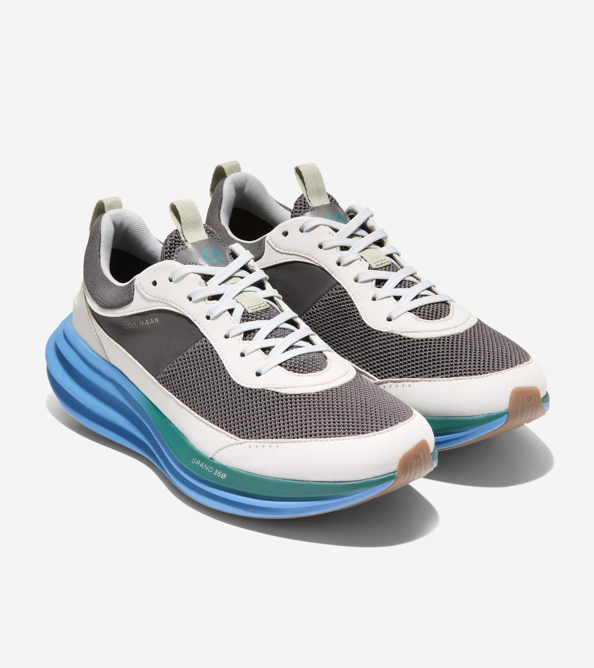 C42451:CASTLEROCK / OYSTER MUSHROOM / PACIFIC COAST