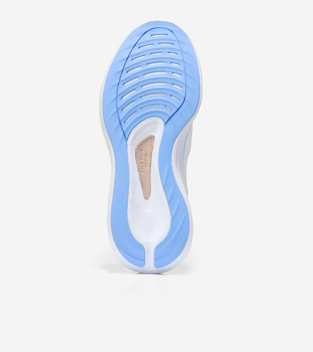 W36120:WHITE/HYDRANGEA/WHITE