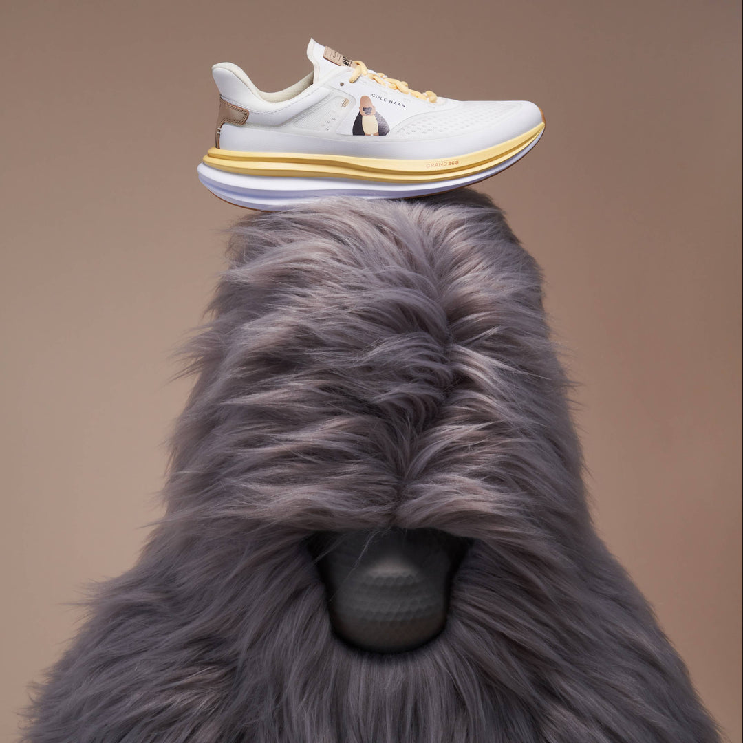 CH X DAVYUAN OG QUADSTAR RUNNER C46110 & W37925